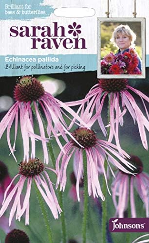 Johnsons - Sarah Raven's Flowers - Echinacea pallida - 50 Seeds