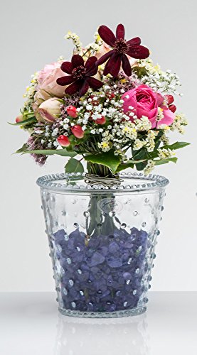 Glasvase Sandra's Secret Garden klar zylindrisch 12 cm Ø 12 cm von Sandra Rich