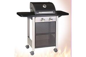 LOLAhome Barbacoa de Gas 2 Quemadores | De 116x52x110cm | Función horno y ahumador, termómetro, encendido automático, fácil montaje, fácil guardado | Para 10 comensales | Barbacoa jardín