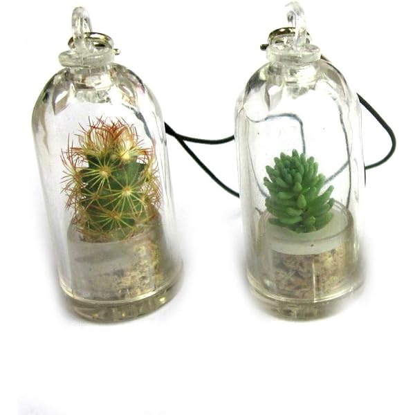 Trendy Fashion Mini Micro Landschaft Exquisite Persnlichkeit Kaktus  Schlsselanhnger Nicht Zerbrechlich Neu Verffentlicht, Medium, andere  Edelsteine, Wie abgebildet, M : Amazon.de: Fashion