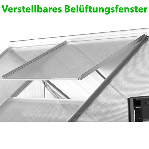 PLANTASIA Alu Gewächshaus mit Fenster, 6 mm Hohlkammerplatten, Größe: 3,94 m³, Aufbauvideo, Gartenhaus, Treibhaus - 5