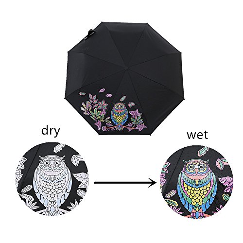 « Click to Enlarge and to go to Amazon »