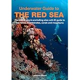 Underwater Guide to the Red Sea