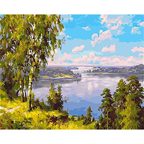 Preisvergleich Produktbild YCC0118 40x50cm Digitaler Bilderrahmen Wandkunst Leinwand Malerei Schlafzimmer Wohnzimmer Dekoration Malerei