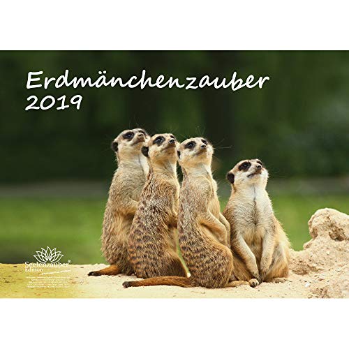 Download Suricate magique – Format A3 – Haute Calendrier 2019 – Suricate – Afrique – Animaux – désert – Naturel – Coffret cadeau avec 1 carte de vœux et 1 carte de Noël – Édition âme magique