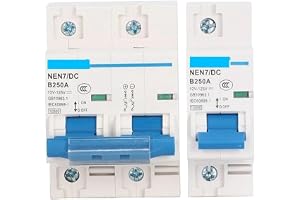 EALLEN 12V 24V 36V 48V 60V 72V 96V 120V DC solcellsbatteri 80A 100A 125A 150A 200A 250A (1P, 250A)