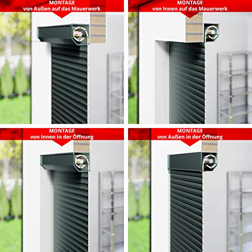 Puerta de garaje de 250 x 250 cm (medida de la luz 232 x 220 cm), color