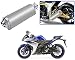Auto Pearl Premium Quality High Performance Bike Exhaust Muffler Silencer Triangle Silver For - Yamaha YZF R3 RS.2899.00
