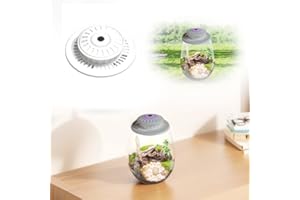 Fiorky Lampe de culture LED, fougère mousse micro-paysage avec minuterie, lampe de croissance de plantes, 6 500 K, terrarium en verre, lampe de culture pour plantes d'intérieur, plantes