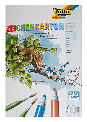 Bringmann 8400-25 fogli da disegno Folia, formato A3
