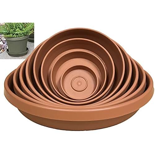 Amazon.co.uk 6 inch clay pots