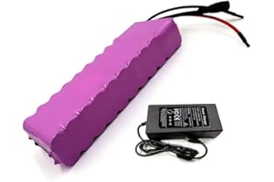 SEILYLANKA Avec chargeur 7 Ah 10S2P 36 V Batterie E-Bike Vélo électrique Li-ion Personnalisable 215 x 70 x 50 mm