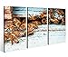 Produktbild Leinwandbild 3 Tlg. Bienen Bienenstock Biene Honig Tier Leinwand Bild Bilder Holz fertig gerahmt 9P786, 3 tlg BxH:120x80cm (3Stk 40x 80cm)