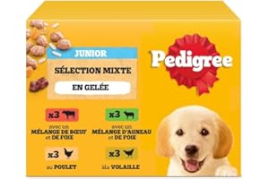 Pedigree Junior Sélection Mixte Sachets fraîcheur en gelée – Nourriture pour Chien Junior – 4 Saveurs différentes – 48 sachets de 100 g