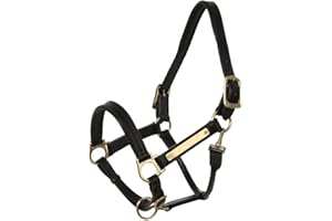 Horseware Amigo Licol rembourré pour cheval noir noir Poney