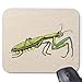 Produktbild BGLKCS Praying Mantis Mouse Pad