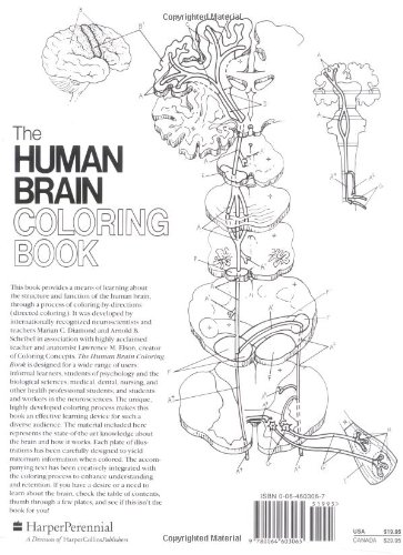 The Human Brain Coloring Book (Coloring Concepts Series)