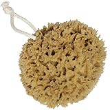 Natural Unbleached Honeycomb Sea Sponge Organic Hypoallergenic Soft Ocean Body Puff Bath and Shower