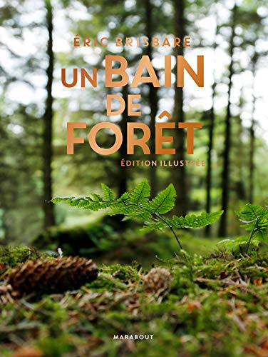 Download Un bain de forêt - Edition illustrée Download Un bain de forêt - Edition illustrée