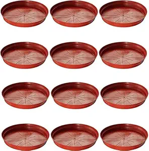 Antier Plastic Plant Container, Brown, 8 Inch, 12 Pieces