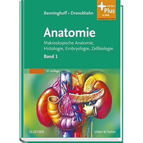 [PDF] Benninghoff - Drenckhahn - Anatomie: Makroskopische Anatomie - Histologie - Embryologie - Zellbiologie. Band 1: Zelle - Gewebe - Entwicklung - Skelett- und ... Verdauungssystem - Harn- und Genitalsystem KOSTENLOS DOWNLOAD