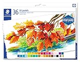 staedtler 36 brilliant colours triplus fineliner pens Mina de 8 mm Ø Staedtler- Karat Pack de 36 Pasteles, (2420 C36)
