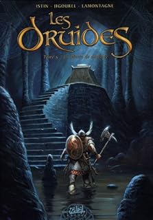 jaquette livre Les Druides, Tome 5 : La Pierre de destinée