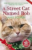 Image de A Street Cat Named Bob: Christmas Special