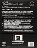 Image de Atlas de anatomía humana - 6ª Edición (+ StudentConsult)