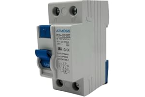 Interruttore differenziale superimmunizzato SI, 300 mA, 2P, 40A, Classe A e 6kA (Type A. Componente Elettronico) RASMACOR