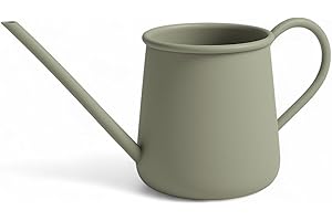 ‎LIVLIG53 Livlig53 LIVLIG Gießkanne 1L, Gießkanne Zimmerpflanzen, Blumengießkanne mit extra langem Ausguss, Giesskanne klein für Topfpflanzen, Metallgießkanne in Grün