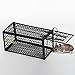 Produktbild Rattenkäfig Mäuse Nagetier Tierkontrolle Fangen Köder Hamster Mausefalle Humane Live Home Hohe Qualität Ratte Killerkäfig