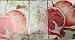 La Florentina Luxury Soap 3 Bars 5.3 Oz Pomegranate RS.2549.00