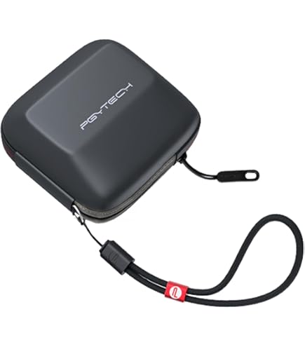 CERFFOOL Étui De Transport Rigide Pour DJI Neo - Absorbe Les Chocs - Boîte De Rangement Portable Anti-chute Avec Boucle D'alpinisme - Mini Sac De Voyage Pour Accessoires De Drone, Noir