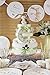 Luxury Unisex Baby Gift Nappy Cake Guess How Much I Love You® with Keepsake Capsule - FREE DELIVERY