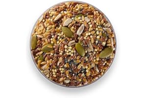 PURIMA Mixed Seeds 1kg - 7 Seed Mix for Bread Baking Eating To Eat Blend Pumpkin Sunflower Golden Linseed Brown Flaxseed Sesame Poppy Millet Raw Natural Bulk Humans Breakfast Cereals Porridge Making Salads