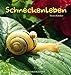 Produktbild Schneckenleben