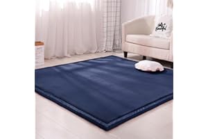 Dmkjdzsw Coral Velvet MatArea Rugs,Yoga Mat Exercise Pads,children'sLarge Foldable Play Mat, Extra Soft Activity Floor Mat Playroom Bedroom-E-100 * 180cm
