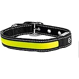 Zoofari LED dog collar size MEDIUM Rechargeable USB high visibility 3 light settings mesh material fabric