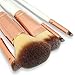 Lily England Rose Gold 5 Piece Best Make Up Brushes Set With Case. Kit Includes Powder & Blush Brush, Foundation Brush, Eye Shadow Brush, Lip Brush & Angled Brow Makeup Brush - Ideal Christmas Gift