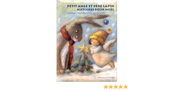 Amazon Fr Petit Ange Et Pere Lapin 24 Histoires Pour Noel Collectif Weninger Brigitte Livres