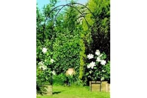AOLEYTECH Steel Frame Garden Arch