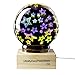 Price comparison product image Amazing 3D Effect LED Star Night Light Projector Mains Powered Stars Glass Ball Nightlight Perfect for Nurserys or Childrens Kids Adults Bedrooms Offices Relaxing Projection Decal Electroplated Lamp