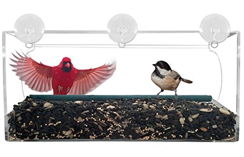 Vogelhaus Fenster, Vogelhäuschen, Vogelfutterhaus, Vogelfutterstation mit Wasserschale, 64 Drainagelöcher, 3 Saugnäpfe und Abnehmbar Tablett- Transparent by ApoGo - 4
