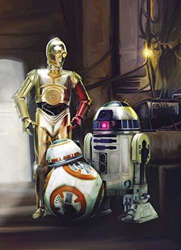 Wall Mural Photo Wallpaper – STAR WARS THREE DROIDS – 1.84×2.54 m Komar 4-447 - 2