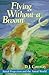 Flying Without a Broom: Astral Projection and the Astral World by 