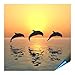 Produktbild Fliesenaufkleber für Bad und Küche - 15x15 cm - Motiv Jumping Dolphins - 10 Fliesensticker für Wandfliesen
