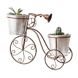 FIYIZHEN Hierro Soporte para Macetas, Bicicleta De Pie Soportes para...