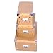 Produktbild DynaSun FC1299KBS Set rechteckig Aufbewahrungsboxen, Karton, braun, 3-teilig
