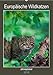Europäische Wildkatzen - Jahresplaner (Wandkalender 2018 DIN A2 hoch): 12 Portraits der scheuen Wildkatze (Planer, 14 Seiten ) (CALVENDO Tiere) by 